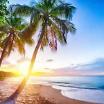 Grandes Villas Luxueuses 4 Etoiles Face A La Reserve Cousteau & Ses Tortues
