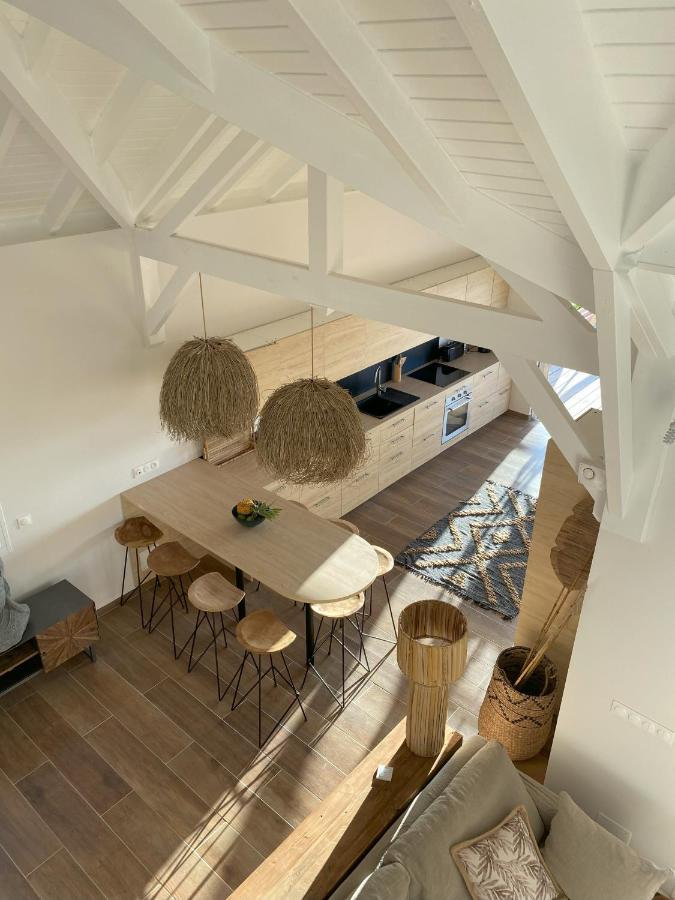 Grandes Luxueuses 4 Etoiles Face A La Reserve Cousteau & Ses Tortues