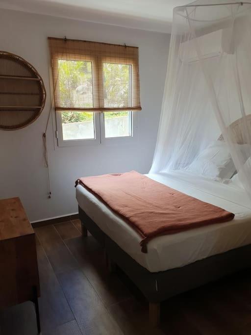 Villa Grandes Luxueuses 4 Etoiles Face A La Reserve Cousteau & Ses Tortues *