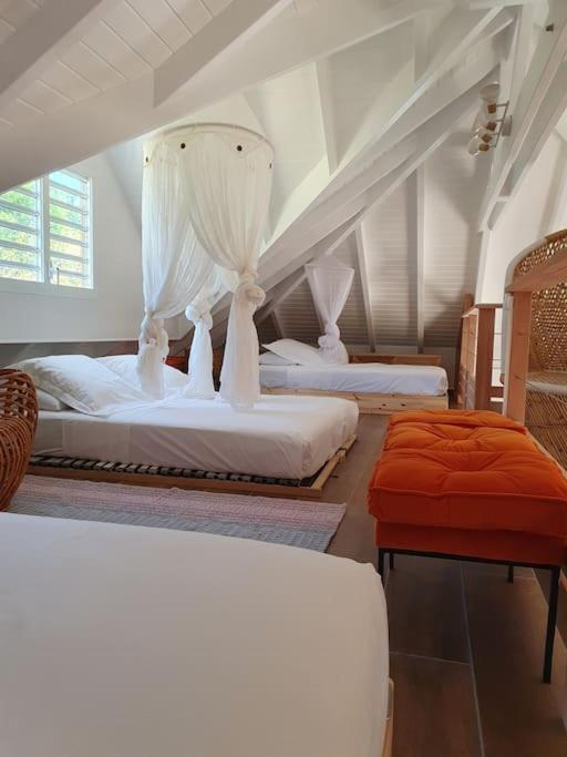 Grandes Luxueuses 4 Etoiles Face A La Reserve Cousteau & Ses Tortues Villa *