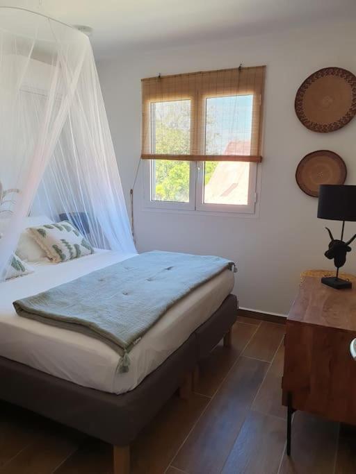 Grandes Luxueuses 4 Etoiles Face A La Reserve Cousteau & Ses Tortues Villa *