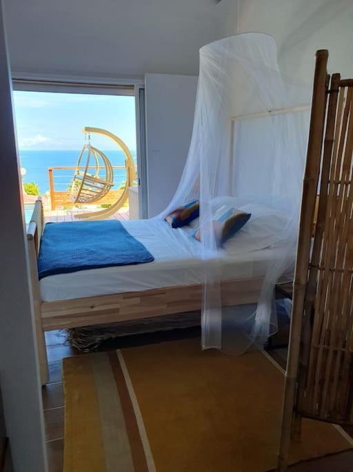 Grandes Luxueuses 4 Etoiles Face A La Reserve Cousteau & Ses Tortues