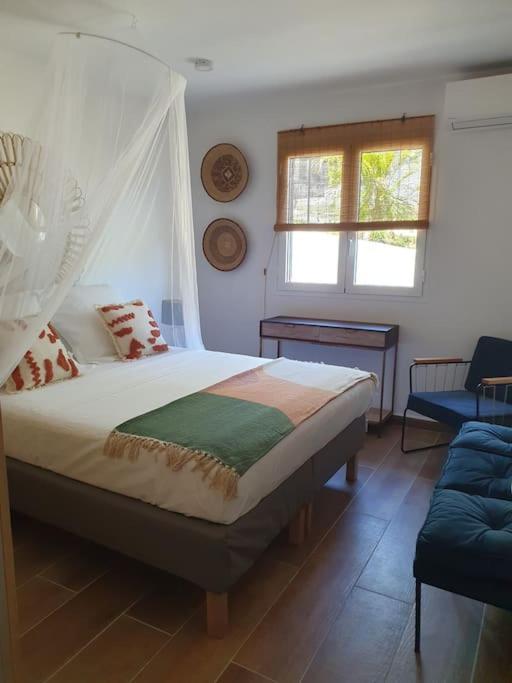 Grandes Luxueuses 4 Etoiles Face A La Reserve Cousteau & Ses Tortues