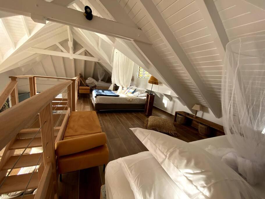 Villa Grandes Luxueuses 4 Etoiles Face A La Reserve Cousteau & Ses Tortues Bouillante
