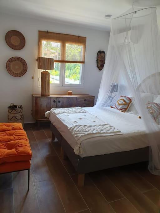 Grandes Luxueuses 4 Etoiles Face A La Reserve Cousteau & Ses Tortues *