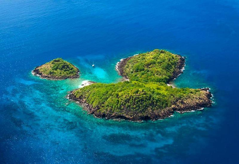 Grandes Luxueuses 4 Etoiles Face A La Reserve Cousteau & Ses Tortues Villa
